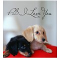 PS I Love You wall quote sticker 